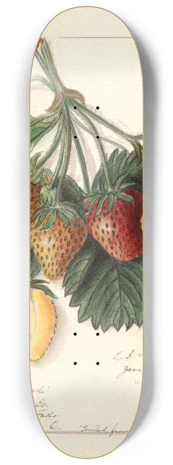 Ellen Isham Schutt - Fragaria: M 8.25 inch art skate deck