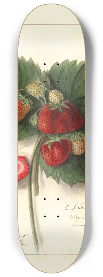 Ellen Isham Schutt - Fragaria: Shipping King 8.25 inch art skate deck