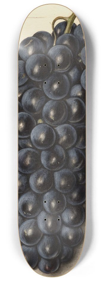 Ellen Isham Schutt - Vitis: Campbells Early 8.25 inch art skate deck