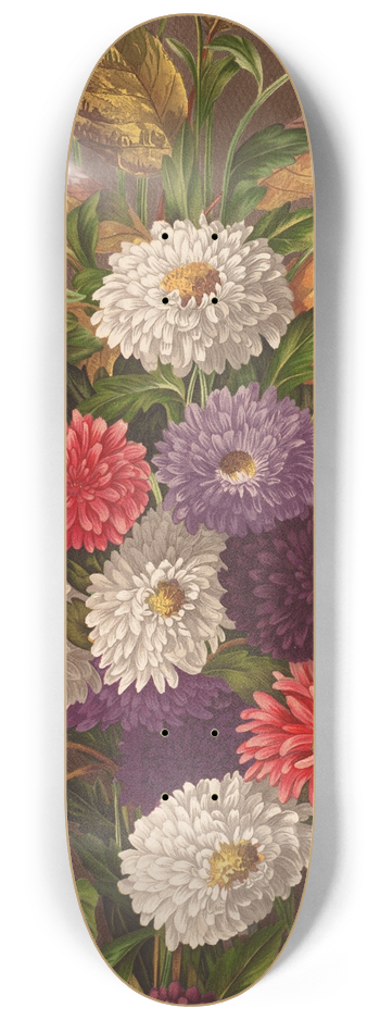 Ellen Robbins - Asters 8.25 inch art skate deck
