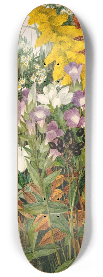 Ellen Robbins - Wildflowers 8.25 inch art skate deck