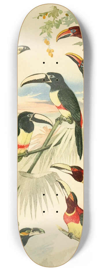 Emil August Gldi - Araarys 8.25 inch art skate deck