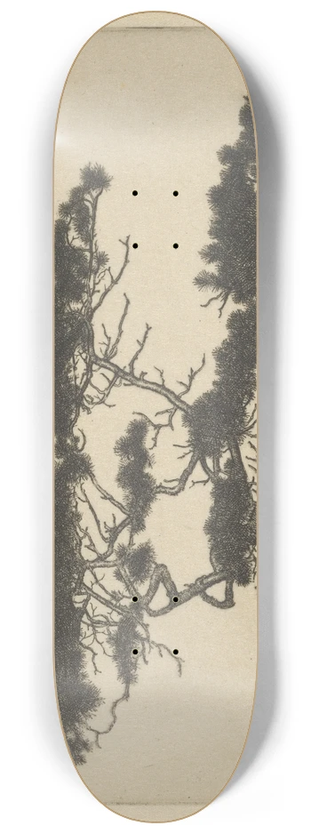 Ernest Haskell - Crippled Pine 8.25 inch art skate deck