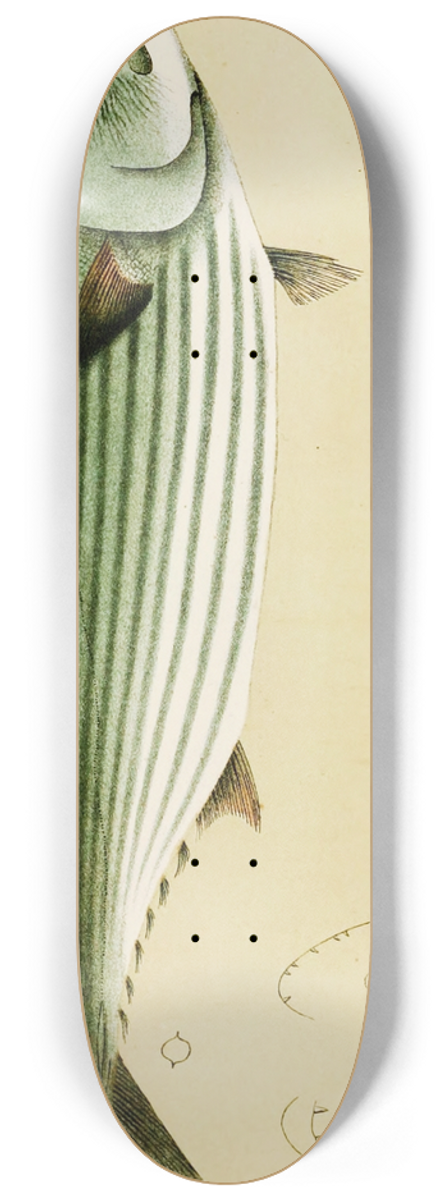 Frederick McCoy - Fishes II 8.25 inch art skate deck