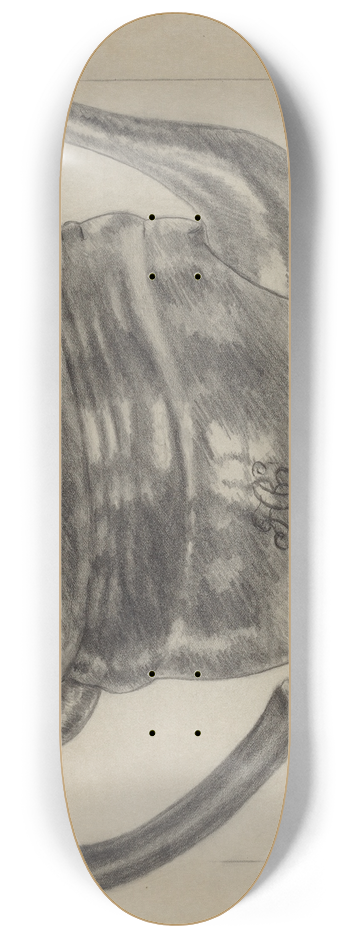 Eugene Barrell - Silver Teapot 8.25 inch art skate deck