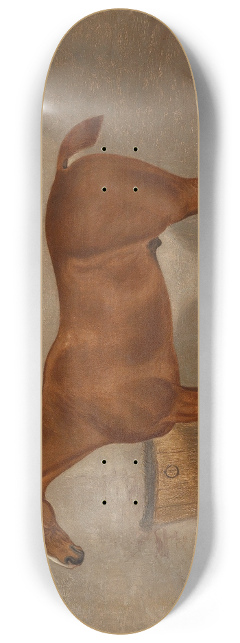 F Clifton - Pferdeportrait 8.25 inch art skate deck