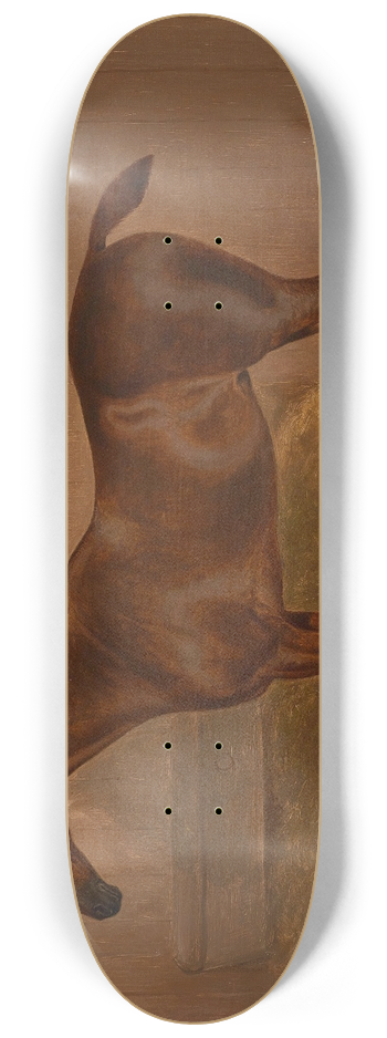 F Clifton - Pferdeportrait 8.25 inch art skate deck