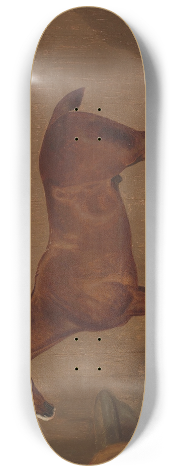 F Clifton - Pferdeportrait 8.25 inch art skate deck