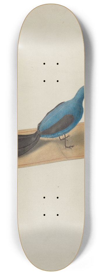 Ferdinand Badin - Pin Cushion 8.25 inch art skate deck