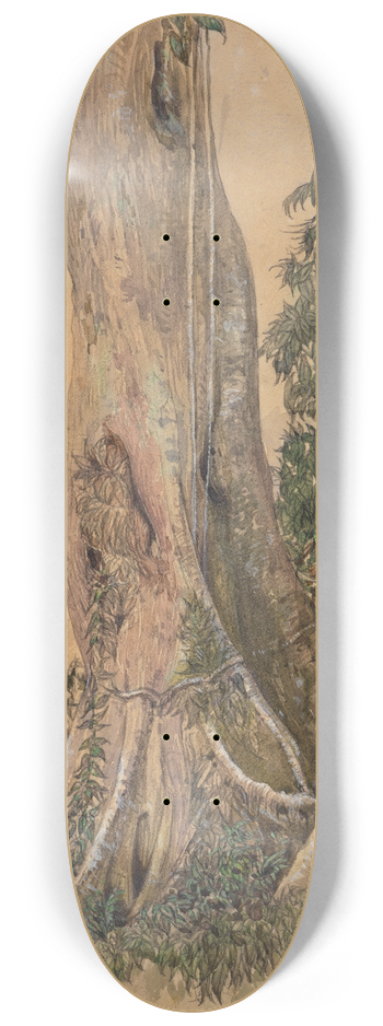 Ferdinand Keller - Figeira-Stmme am Ufer des Parahyba 8.25 inch art skate deck