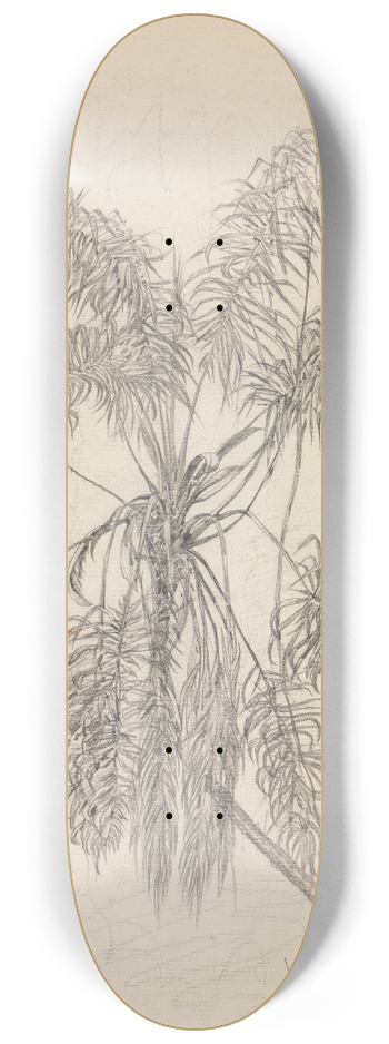 Ferdinand Keller - Palmenstudie 8.25 inch art skate deck