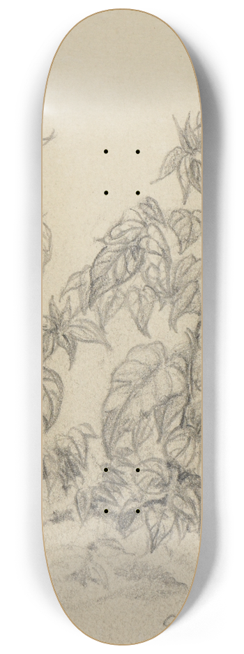 Ferdinand Keller - Pflanzenstudie VIII 8.25 inch art skate deck