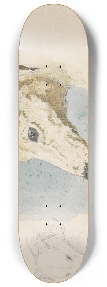 Ferdinand Keller - Studienblatt mit Hundekpfen 8.25 inch art skate deck