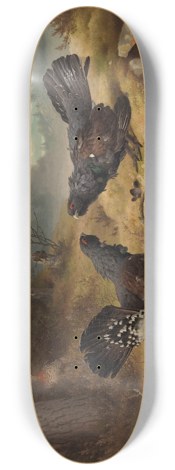 Ferdinand von Wright - The Fighting Capercaillies 8.25 inch art skate deck