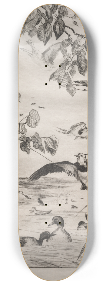 Flix Bracquemond - Lapwings and Teals 8.25 inch art skate deck