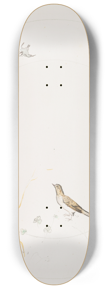 Flix Bracquemond - Lorage. 8.25 inch art skate deck