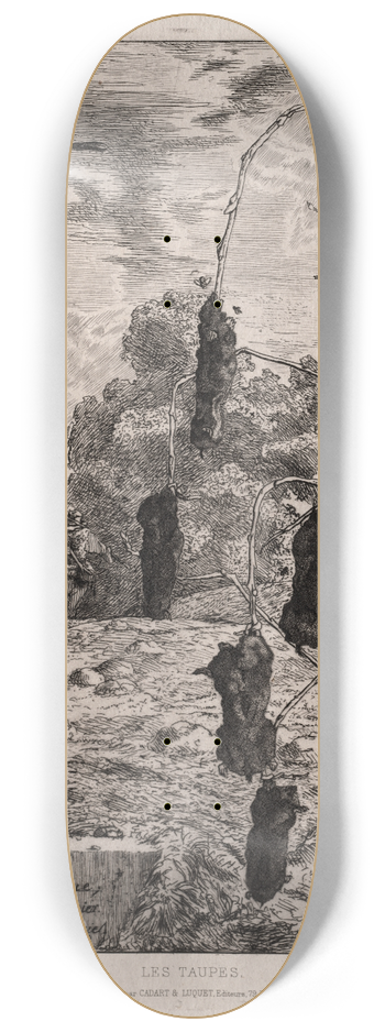 Flix Bracquemond - Moles 8.25 inch art skate deck