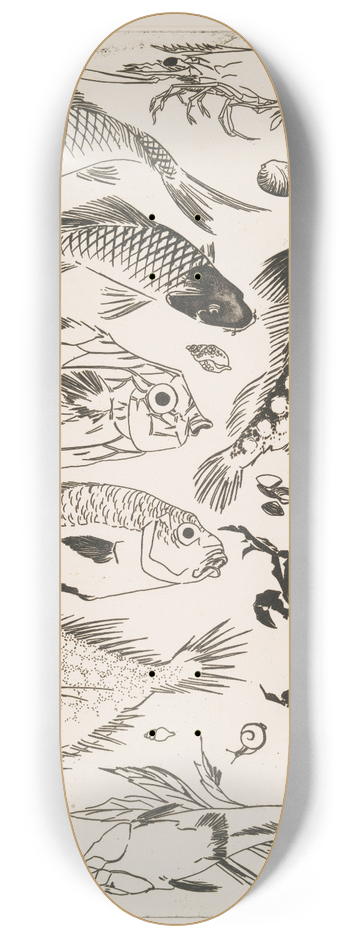 Flix Bracquemond - Poissons 8.25 inch art skate deck