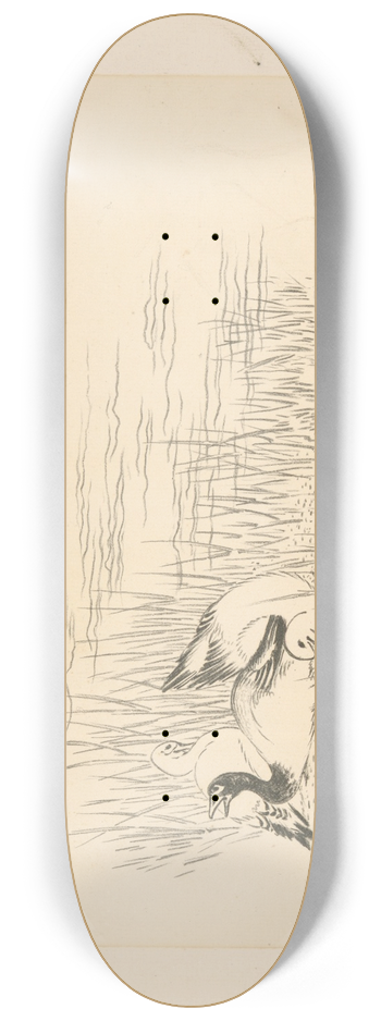 Flix Bracquemond - Trois canards et un quatrime qui vole. 8.25 inch art skate deck
