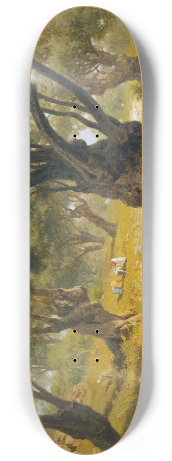 Francesco Lojacono - The Olive Grove, Palermo 8.25 inch art skate deck