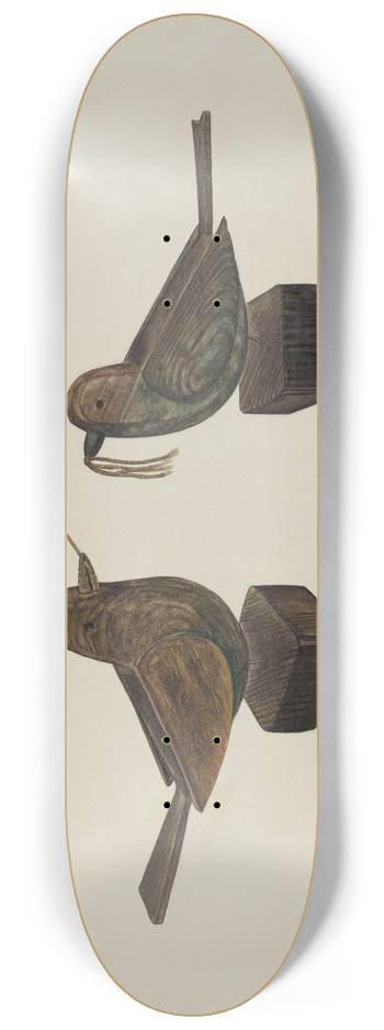 Frank Budash - Toy Birds 8.25 inch art skate deck