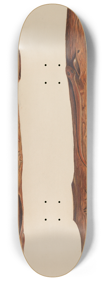 Frank Gray - Walking Stick 8.25 inch art skate deck