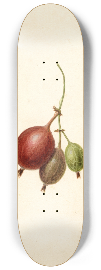 Frank Muller - Ribes: Mountain 8.25 inch art skate deck