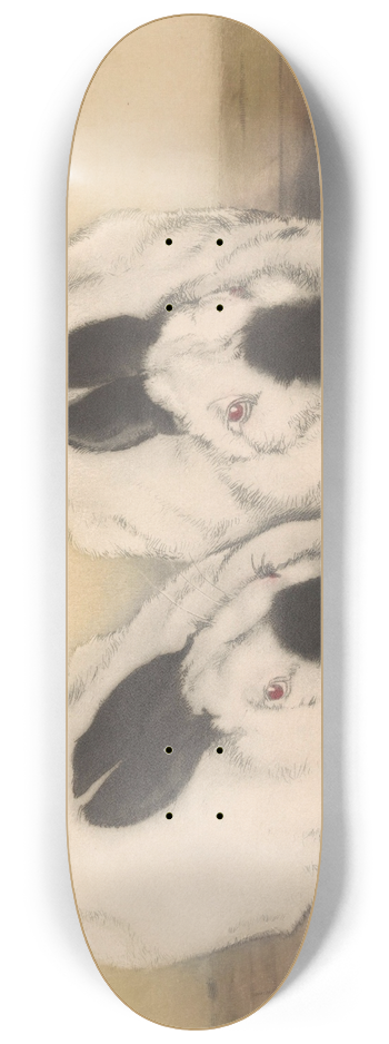 Frans Everbag - Twee ruskonijnen 8.25 inch art skate deck