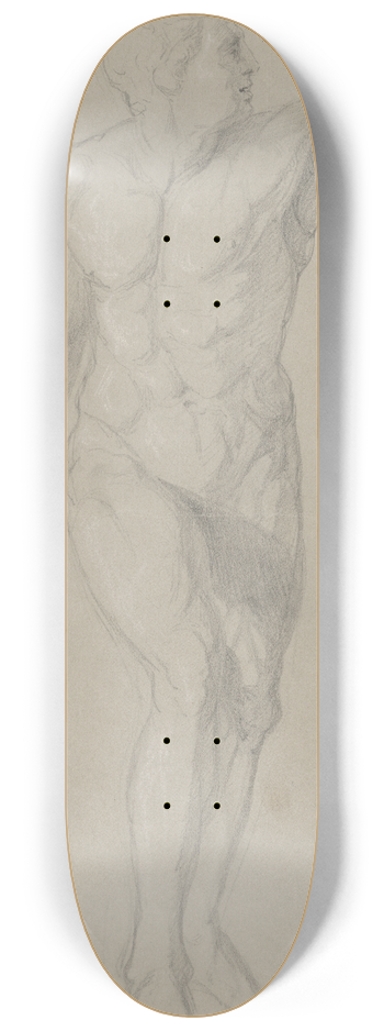 Frantiek Janek - tdia muskho aktu 8.25 inch art skate deck