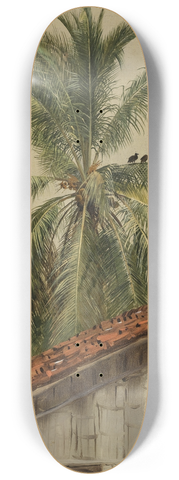Frederic Edwin Church - Palm Trees and Housetops, Ecuador 8.25 inch art skate deck