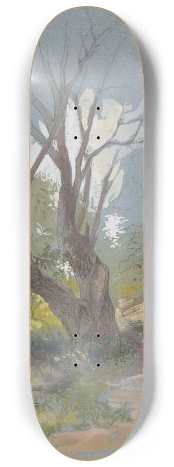 Friedrich von Nerly - Mountain Path with a Tree 8.25 inch art skate deck
