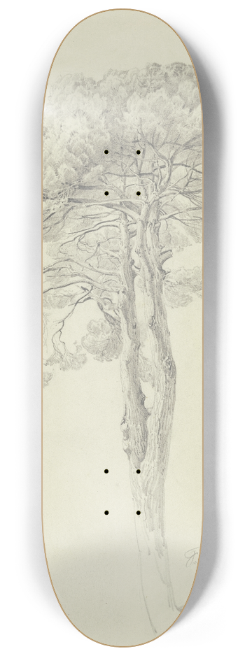Fritz Bamberger - A pine 8.25 inch art skate deck