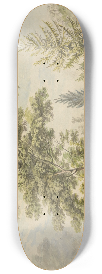 George Barret - The Acacia Tree 8.25 inch art skate deck