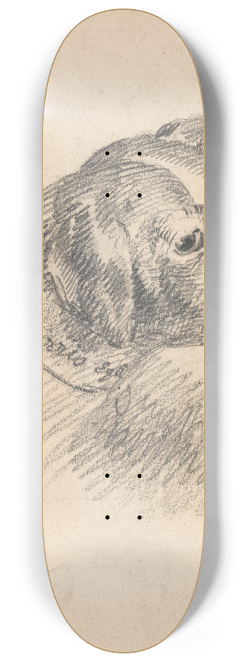 George Morland - Head of a Hound 8.25 inch art skate deck