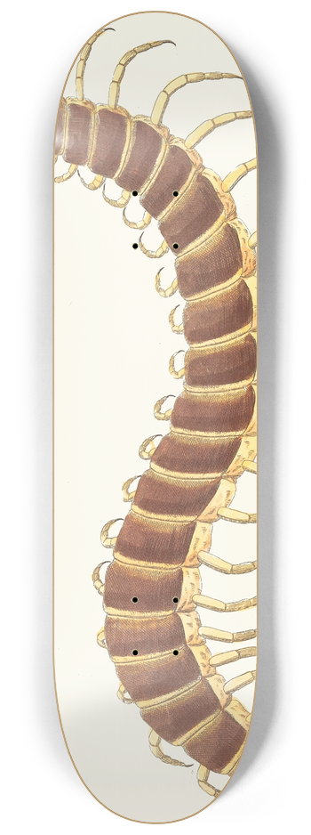 George Shaw - Centipede 8.25 inch art skate deck