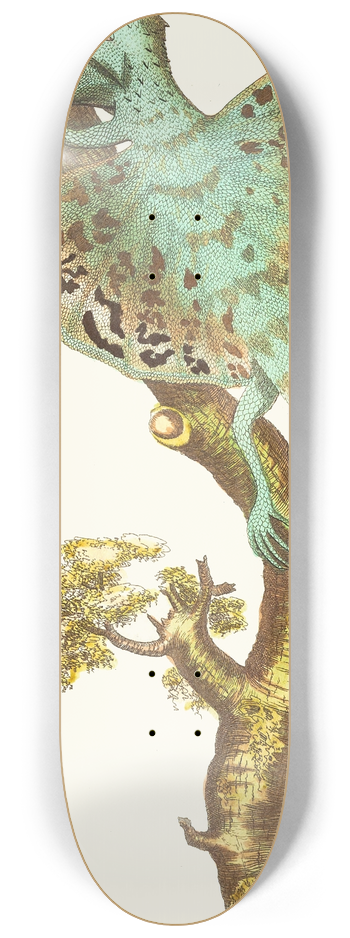 George Shaw - THE FLYING DRAGON 8.25 inch art skate deck