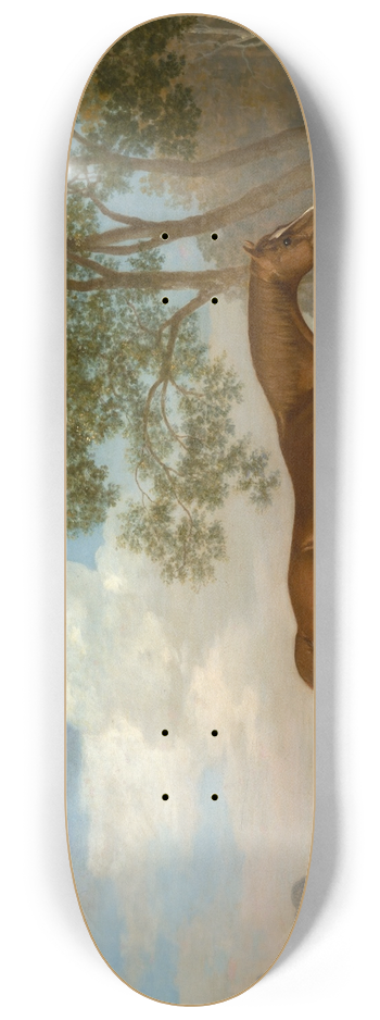 George Stubbs - Pumpkin with a Stable-lad 8.25 inch art skate deck
