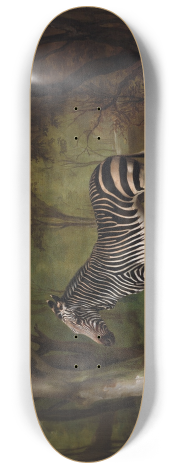 George Stubbs - Zebra 8.25 inch art skate deck