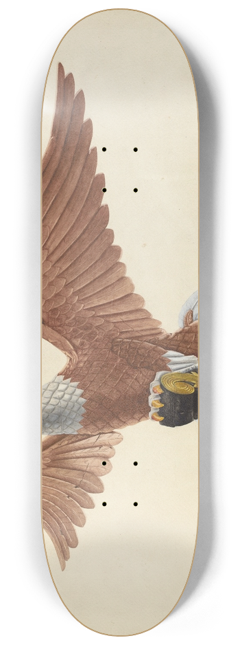 F.W. Powell - Eagle Figurehead 8.25 inch art skate deck