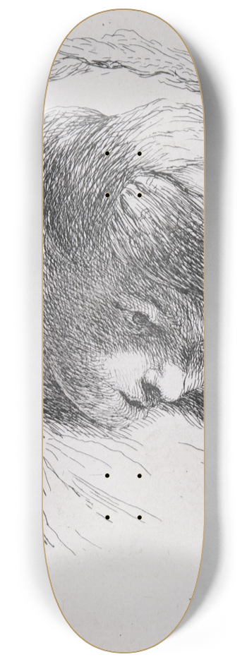 Giovanni Benedetto Castiglione - Young Man Looking Down 8.25 inch art skate deck