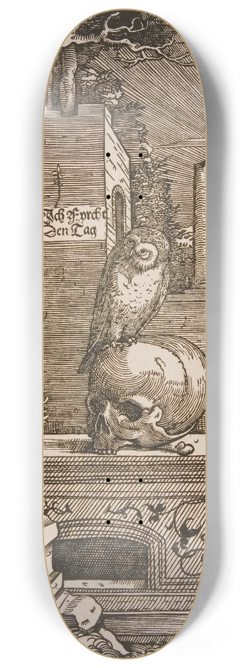 Hans Wechtlin - Allegory with an Owl 8.25 inch art skate deck