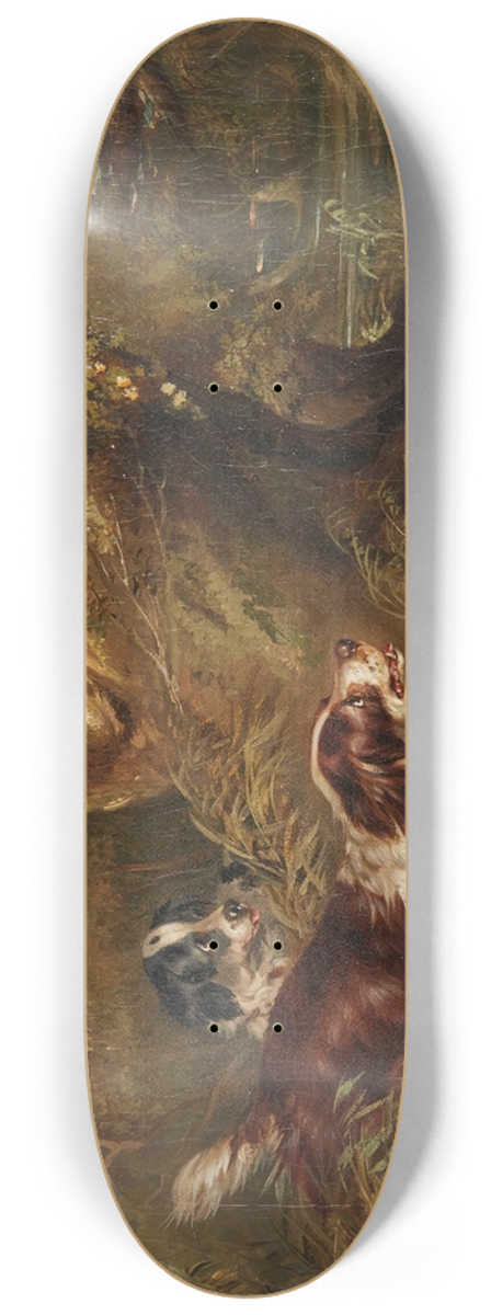 George Armfield - Spaniels putting up duck 8.25 inch art skate deck