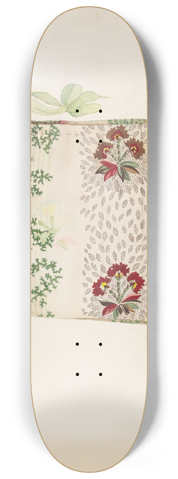 Hazel Sheckler - Cotton Bag 8.25 inch art skate deck