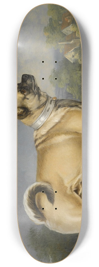 Henry Bernard Chalon - A Favorite Pug 8.25 inch art skate deck