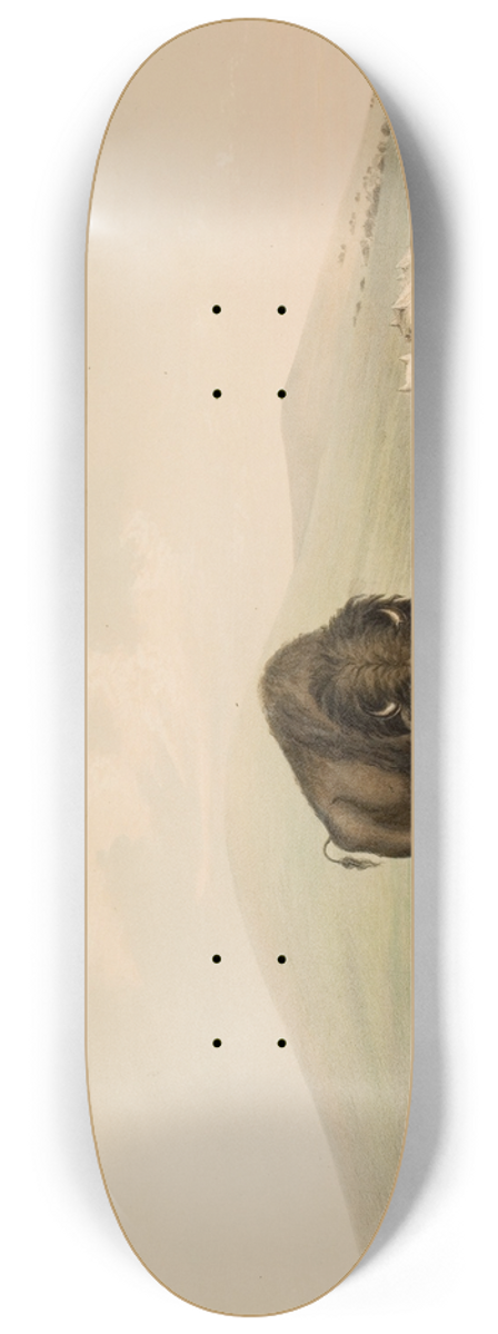 George Catlin - Buffalo Hunt, White Wolves Attacking A Buffalo Bull 8.25 inch art skate deck