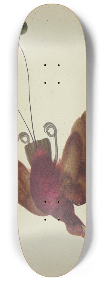 Herman Henstenburgh - Flying bird of paradise 8.25 inch art skate deck