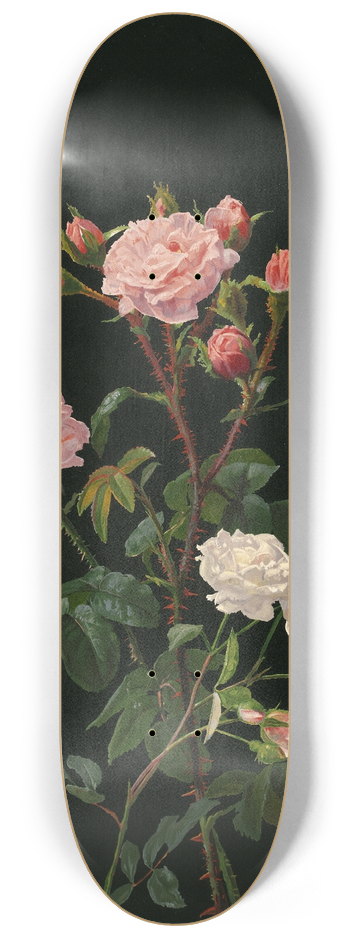 George Cochran Lambdin - Pink and White Roses 8.25 inch art skate deck