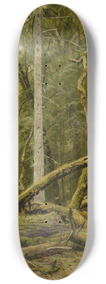 Ivan Ivanovich Shishkin - Cut down oak 8.25 inch art skate deck
