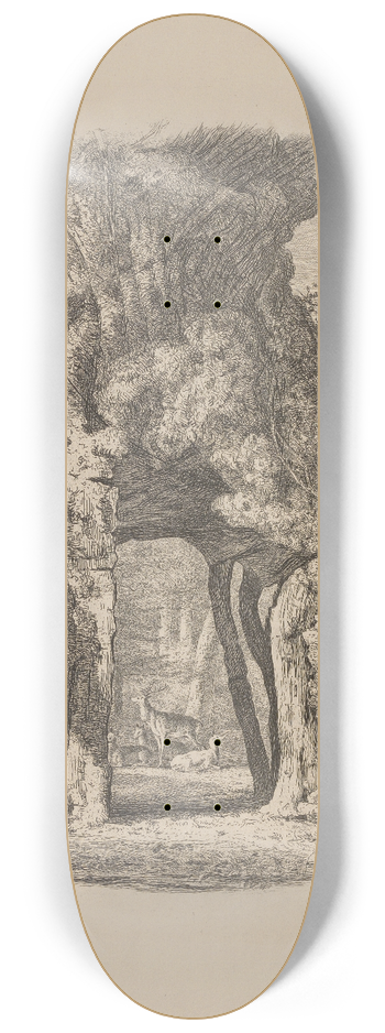 Jacob George Strutt - The Green-Dale Oak 8.25 inch art skate deck