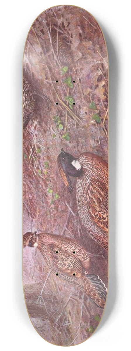 George Edward Lodge - Darwins Koklass Pheasant, Styans Koklass Pheasant 8.25 inch art skate deck